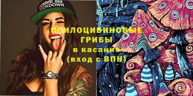 Псилоцибиновые грибы Psilocybe Буй